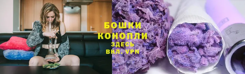 Конопля OG Kush  Светлоград 